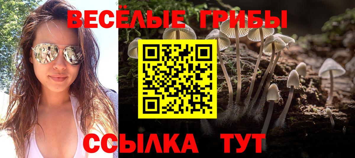 Псилоцибиновые грибы прущие грибы Апрелевка