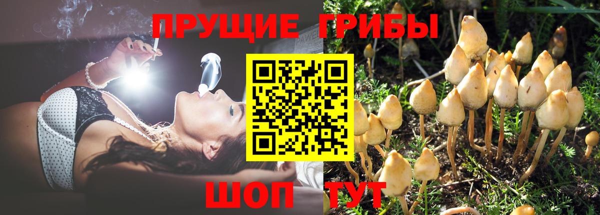 Псилоцибиновые грибы Magic Shrooms  Вход с VPN  Апрелевка 